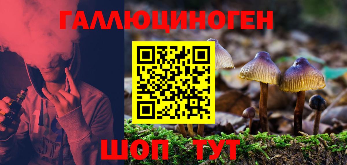 Псилоцибиновые грибы Cubensis Малгобек